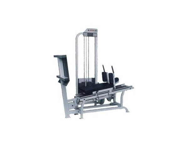 LIFE FITNESS PRO 2 LEG PRESS  OCCASION