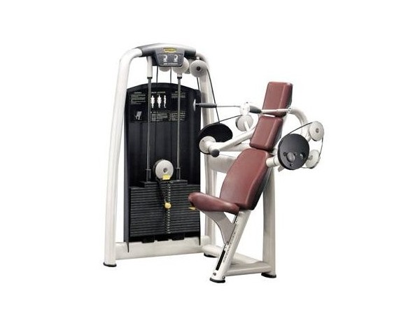 TECHNOGYM SELECTION ARM EXTENSION  TRICEPS  OCCASION