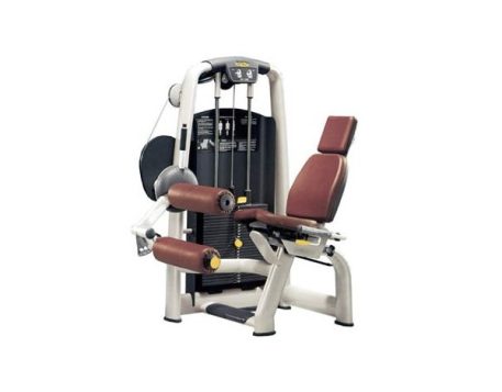 TECHNOGYM SELECTION LEG CURL OCCASION